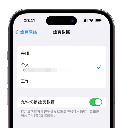 花山苹果维修服务分享如何在iPhone上使用双卡 